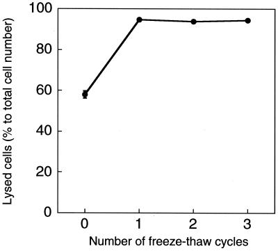 FIG. 1