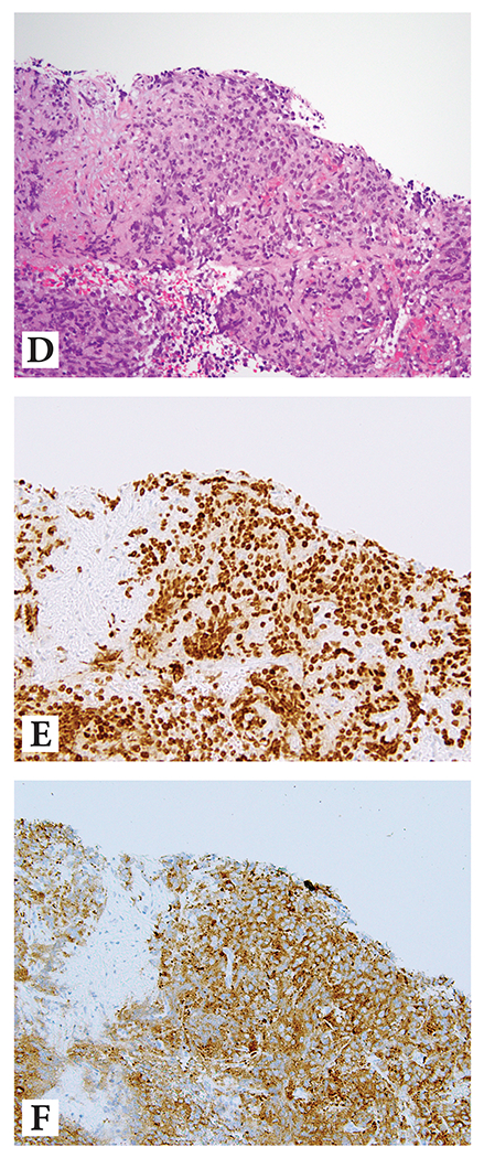 Figure 3: