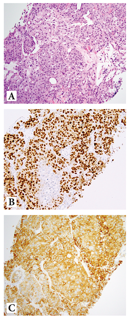 Figure 3: