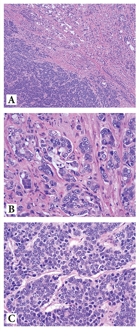 Figure 2: