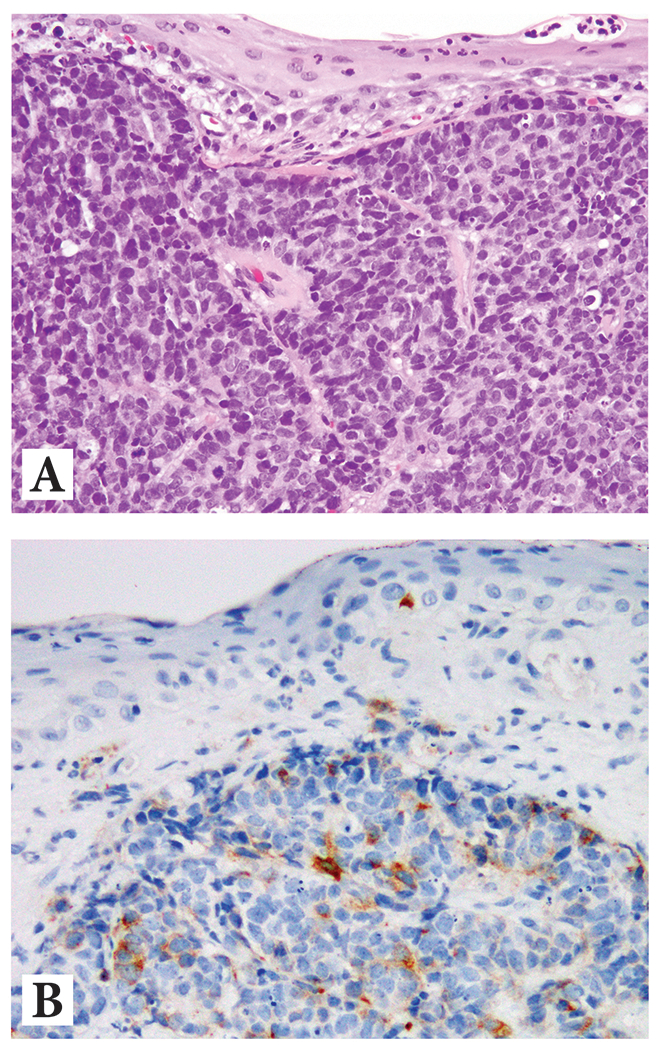 Figure 4: