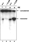 FIG. 7.