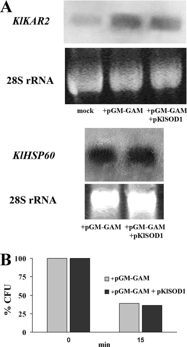 FIG. 8.