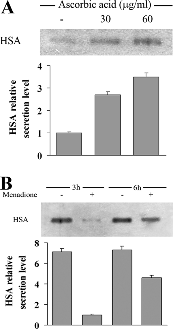 FIG. 6.