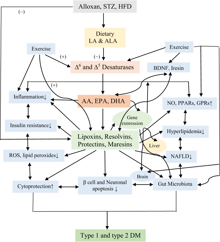 Figure 14