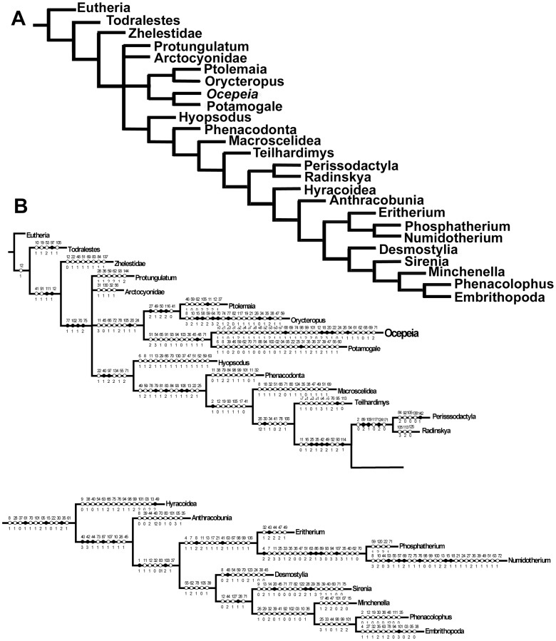 Figure 22