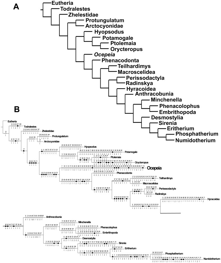 Figure 21