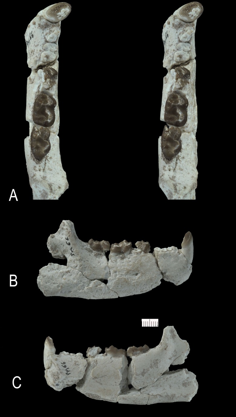 Figure 15