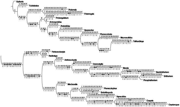 Figure 23