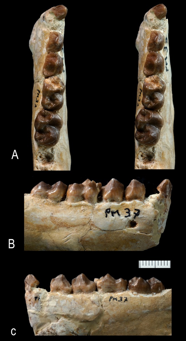 Figure 14