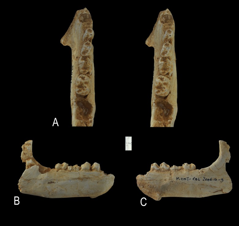 Figure 16