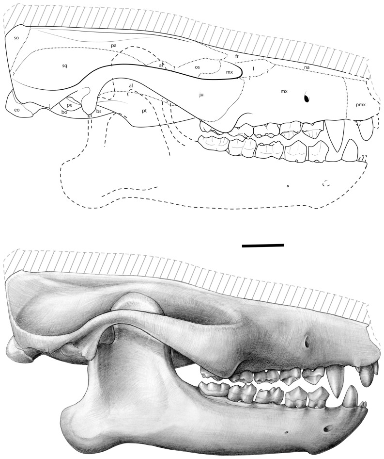 Figure 12