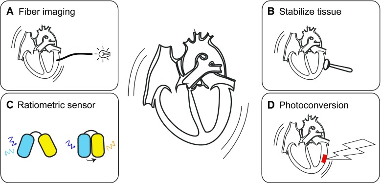 Fig. 3