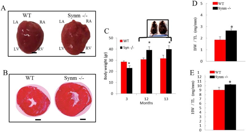 Fig. 4