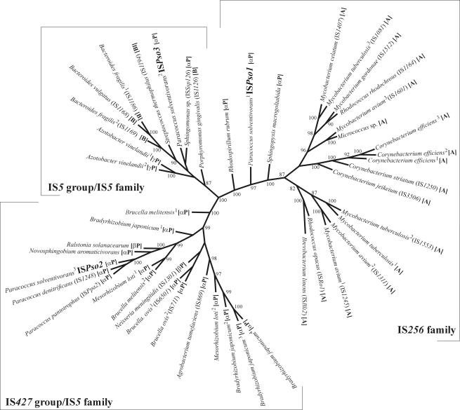 FIG. 4.