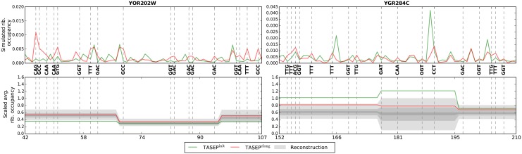 Fig 7