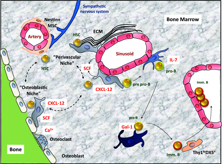 Fig. 1