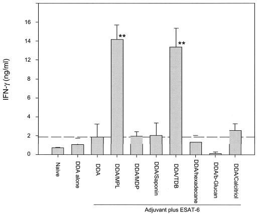 FIG. 1.