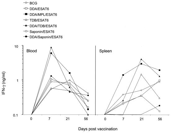 FIG. 2.