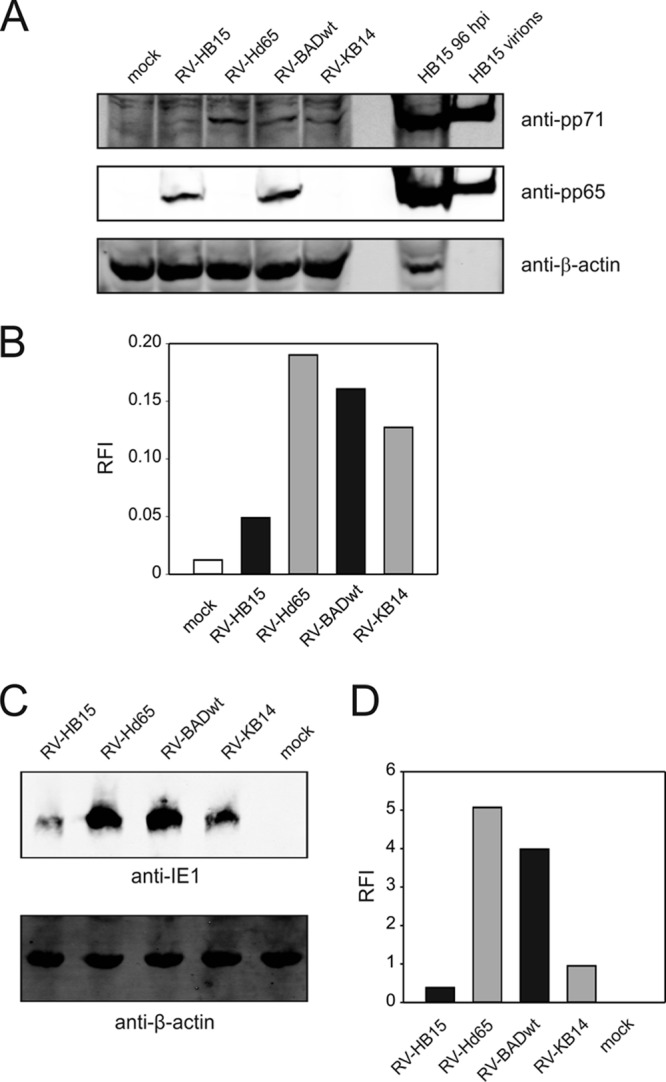 Fig 4