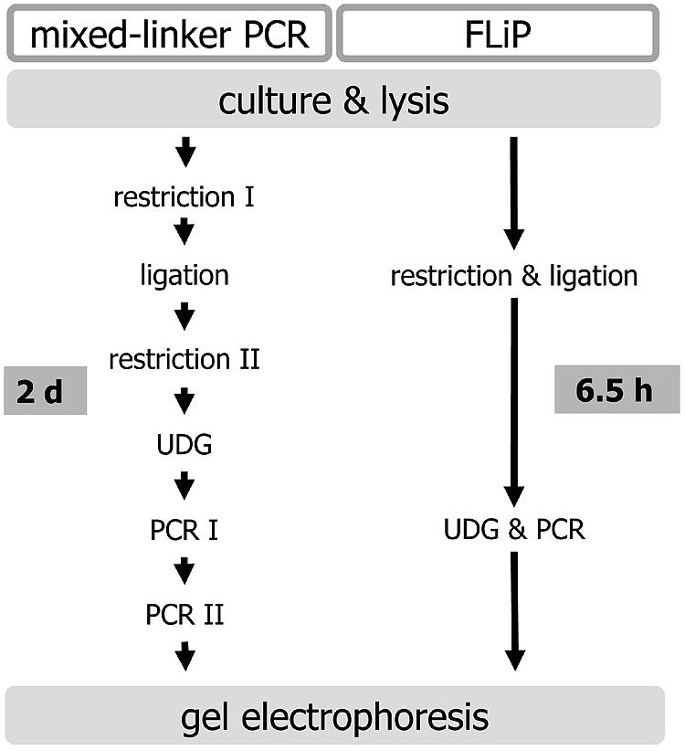 FIG. 1.