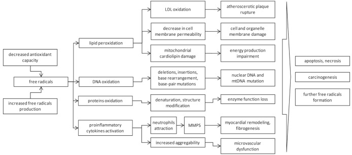 Figure 1)