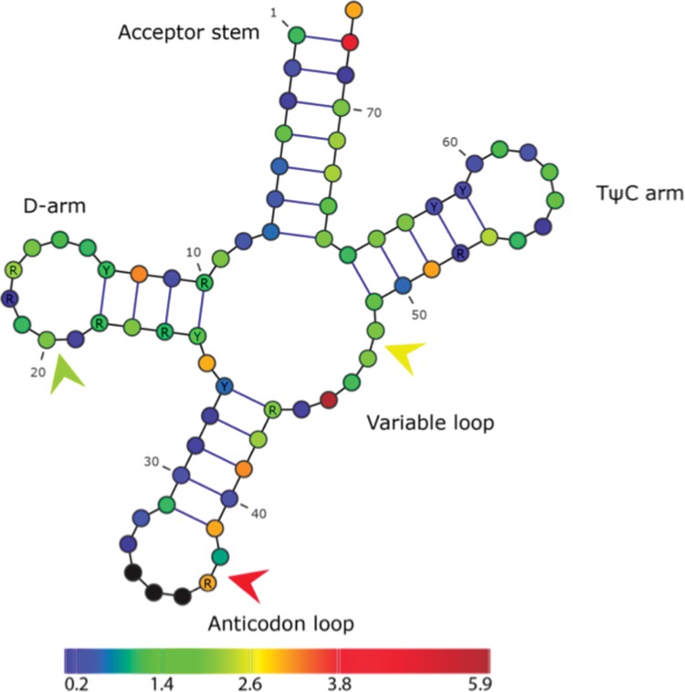 FIGURE 1.