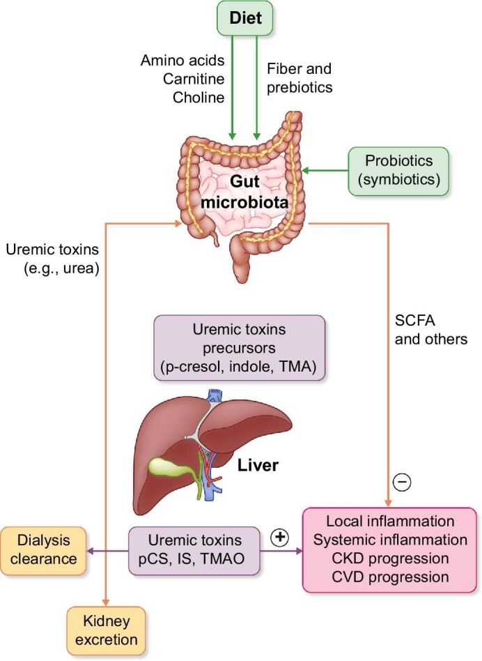 FIGURE 1: