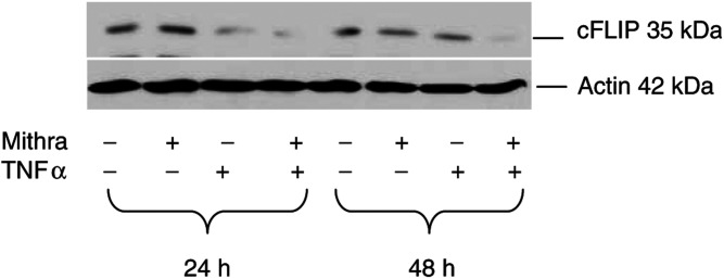 Figure 8