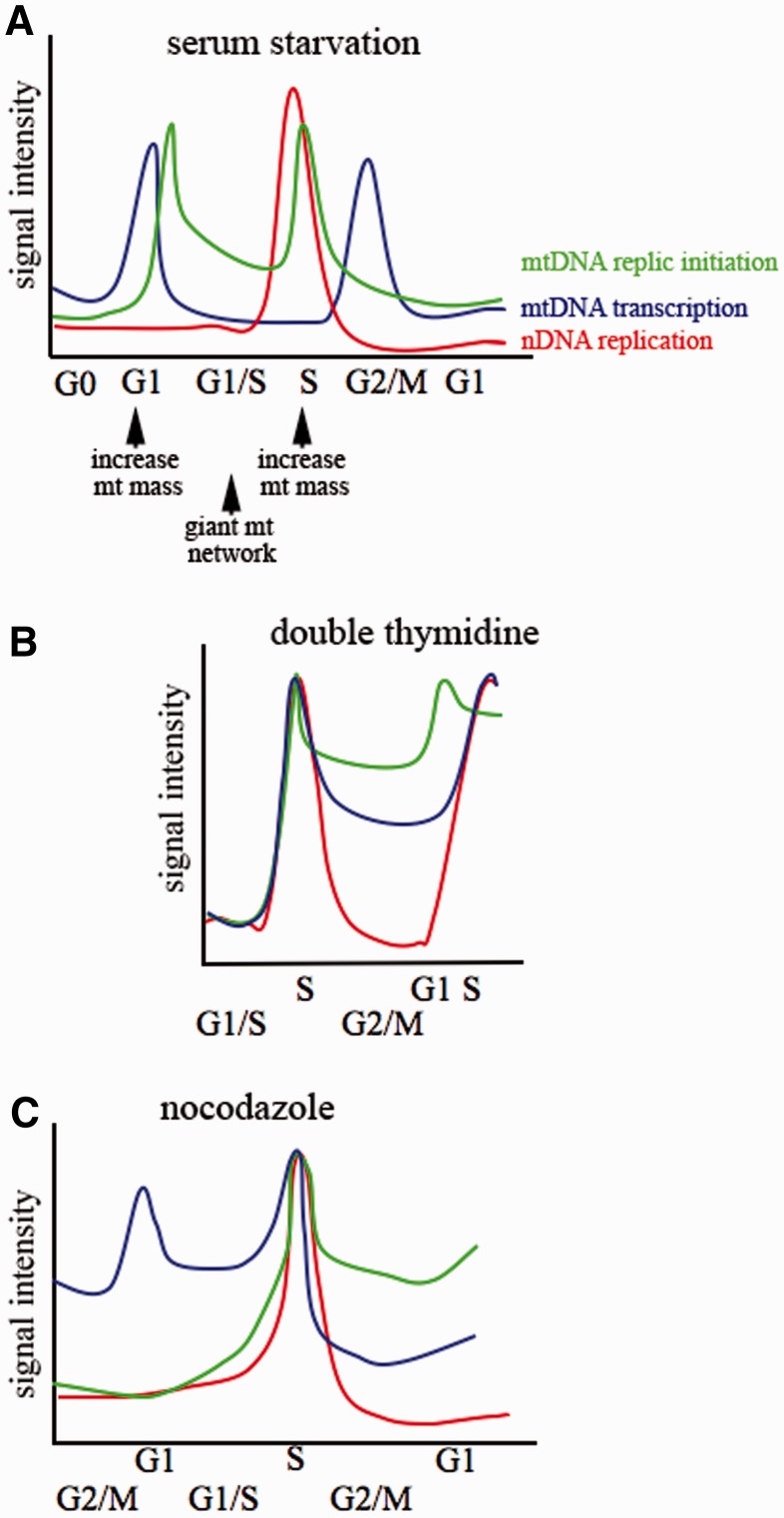 Figure 7.