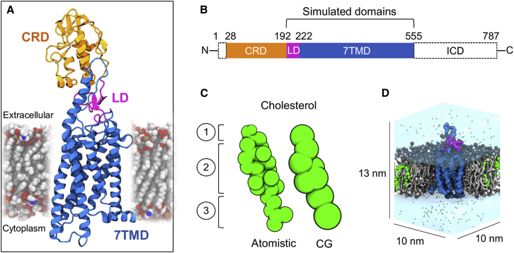 Figure 1