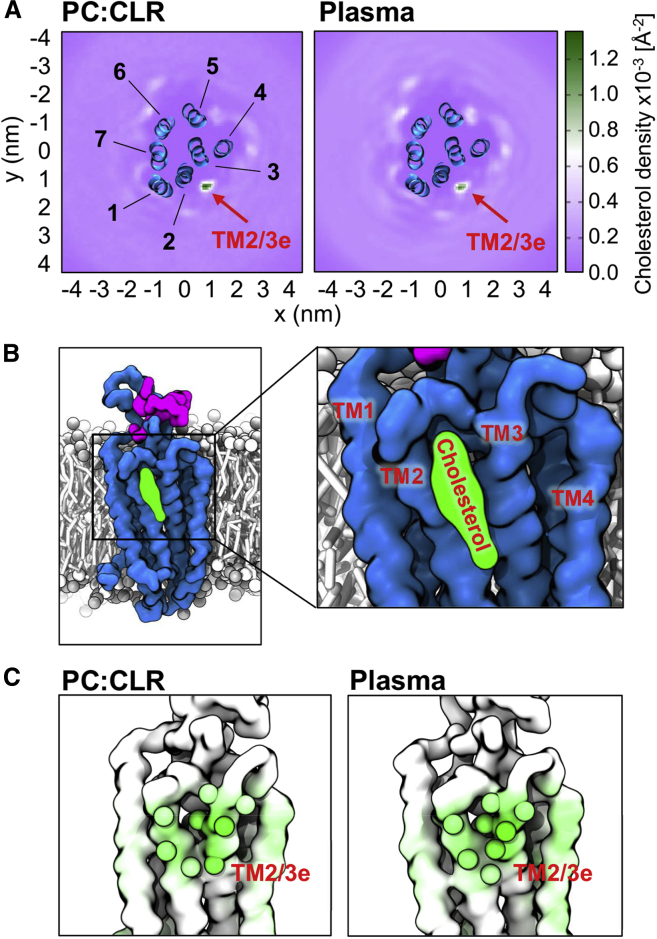 Figure 2