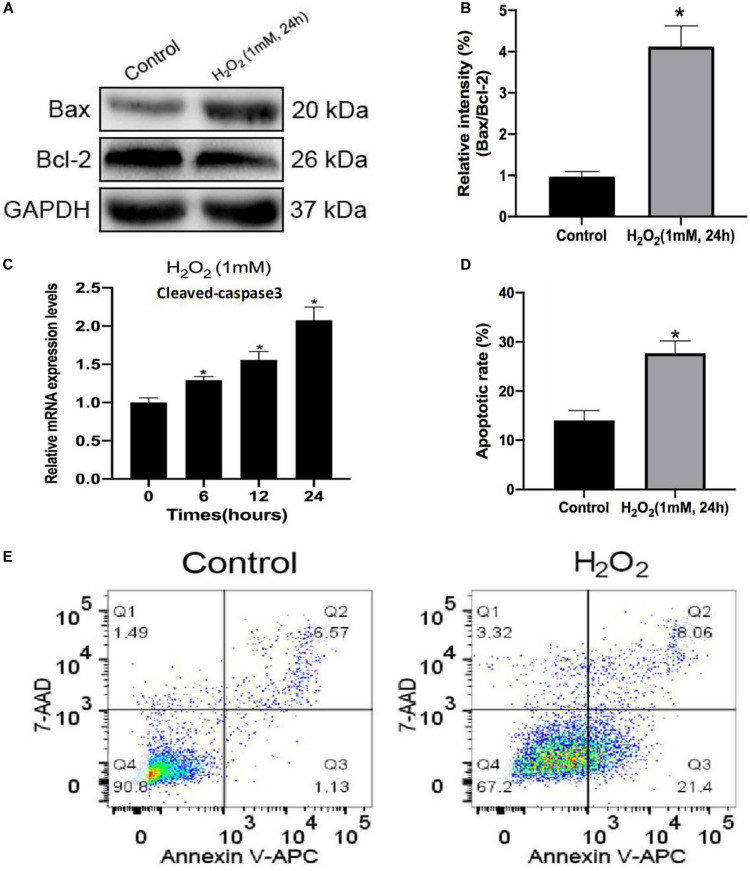 FIGURE 2