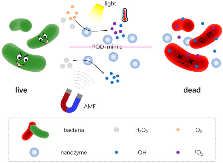 Figure 6