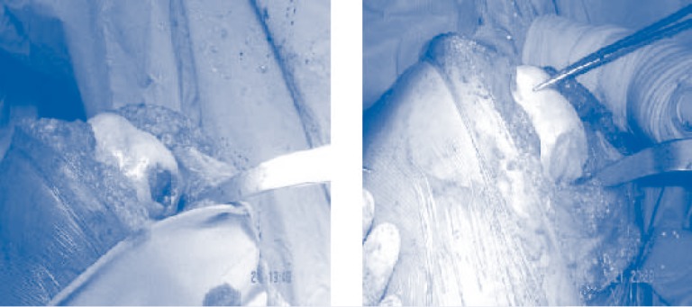 Figure 3: