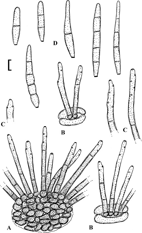 Fig. 4.