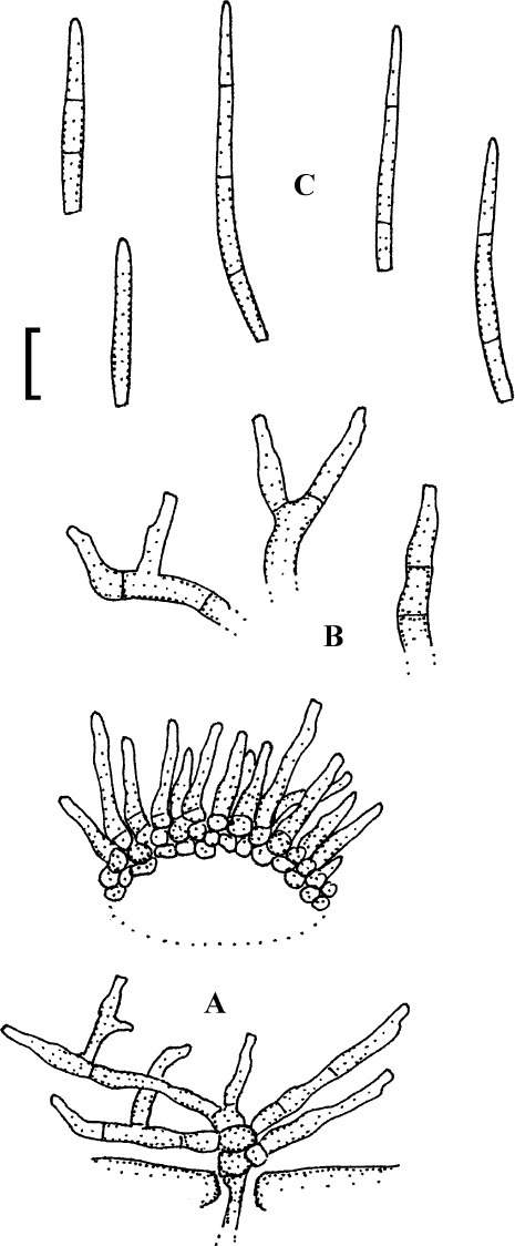 Fig. 46.