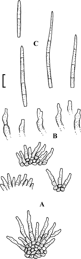 Fig. 22.