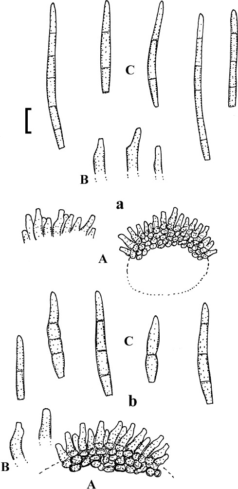 Fig. 17.