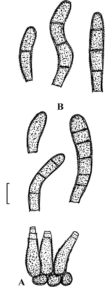 Fig. 28.