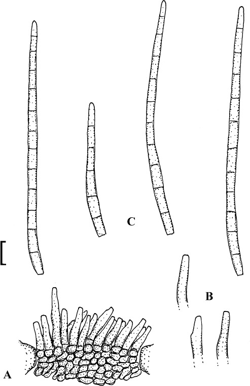 Fig. 39.