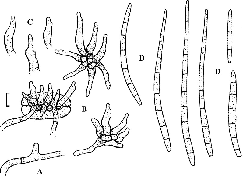 Fig. 45.