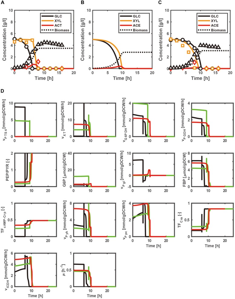 FIGURE 2