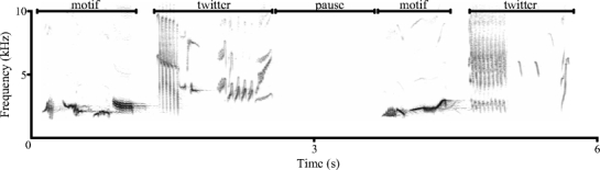 Fig. 1