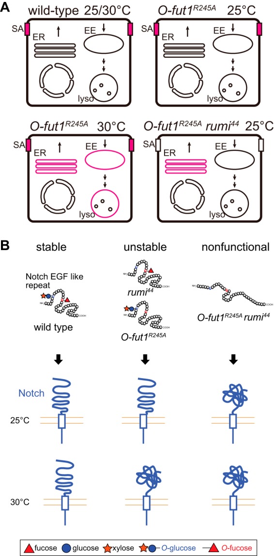 FIGURE 11.