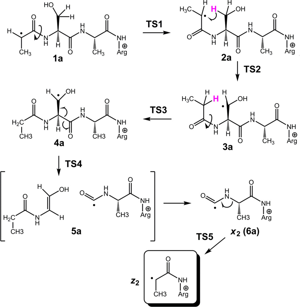 Scheme 2