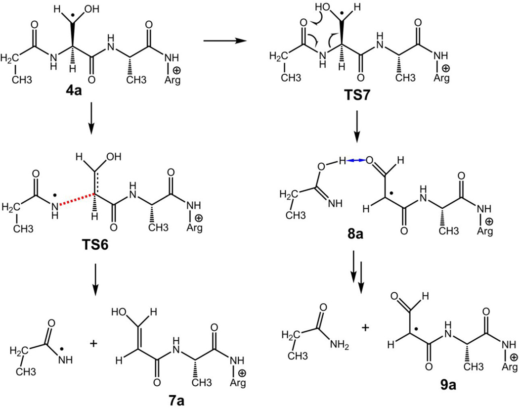 Scheme 3