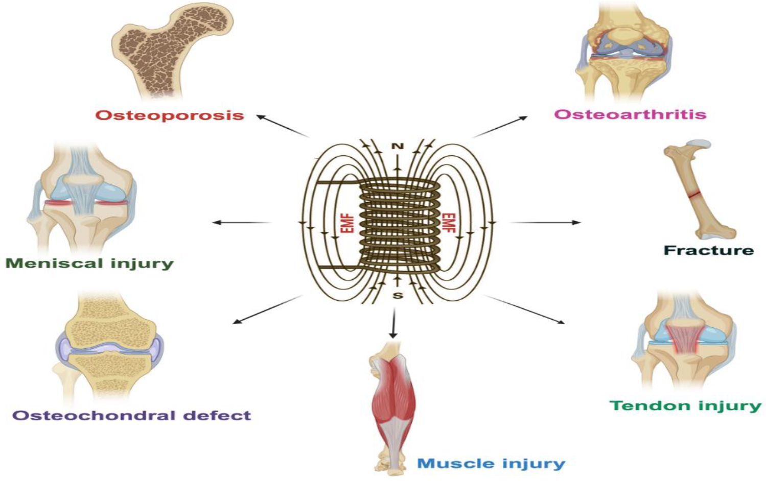 Figure 2: