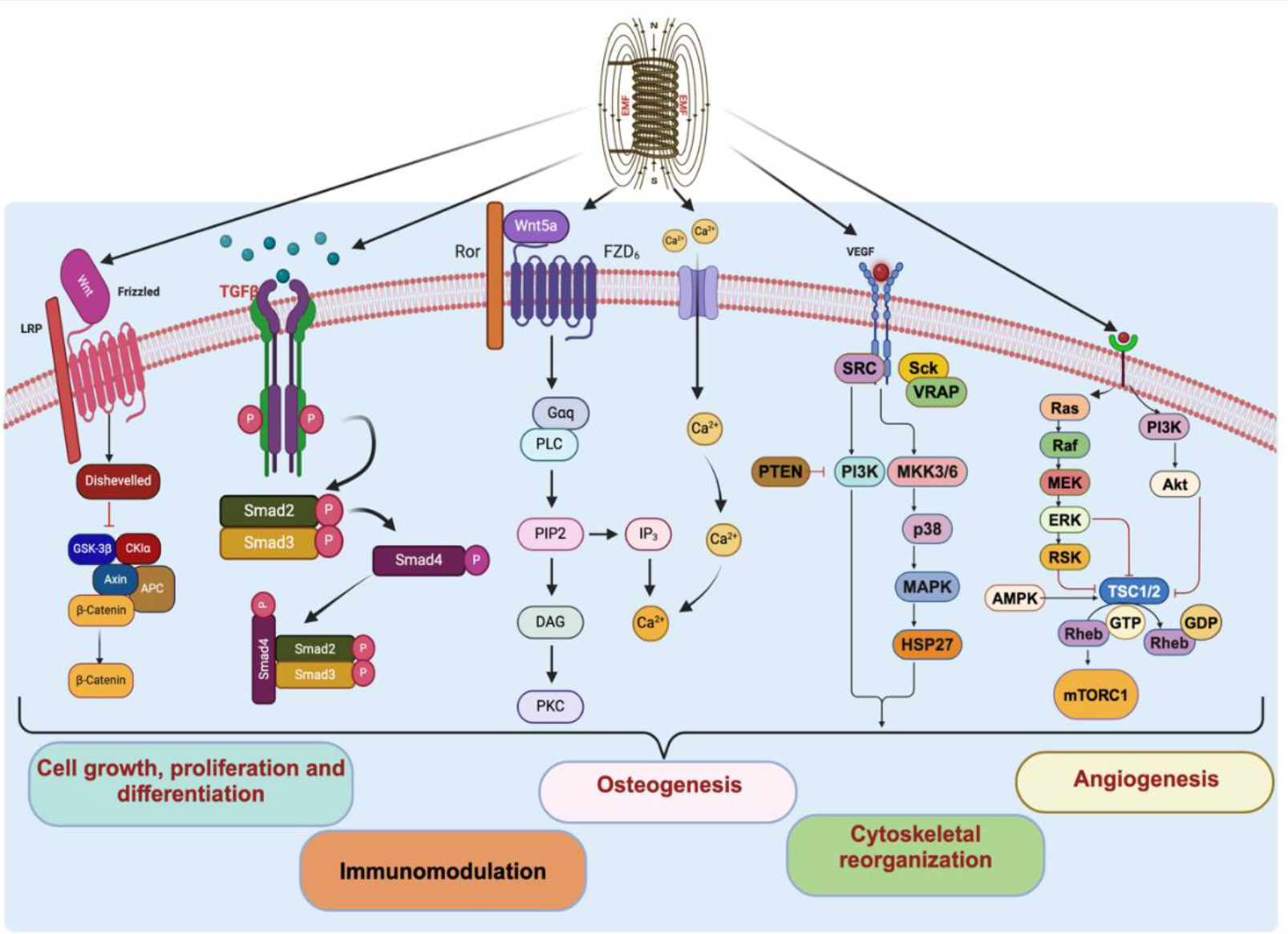 Figure 1: