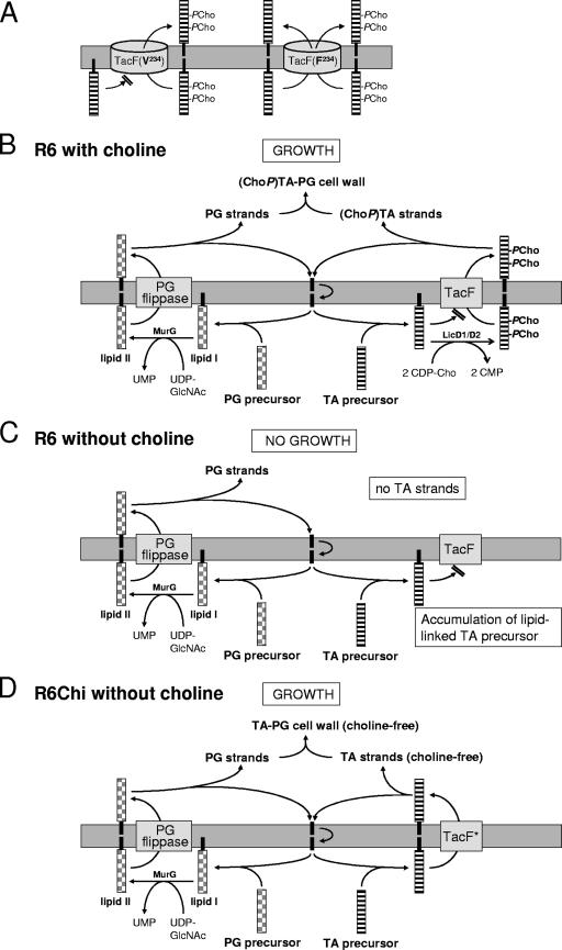 FIG. 5.